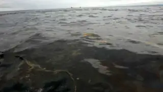 Piura: 200 barriles de petróleo se derraman en el mar de Lobitos