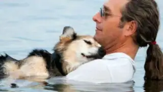 Murió Schoep, el perro con artritis que conmovió al mundo