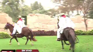 Caballos de paso darán espectáculo en Parque de Las Leyendas en Fiestas Patrias