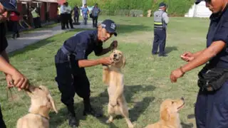Municipalidad de Lima presentó a unidad canina expertos en rescate