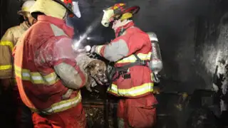 Bomberos salvan de morir a un perro atrapado en incendio en La Victoria