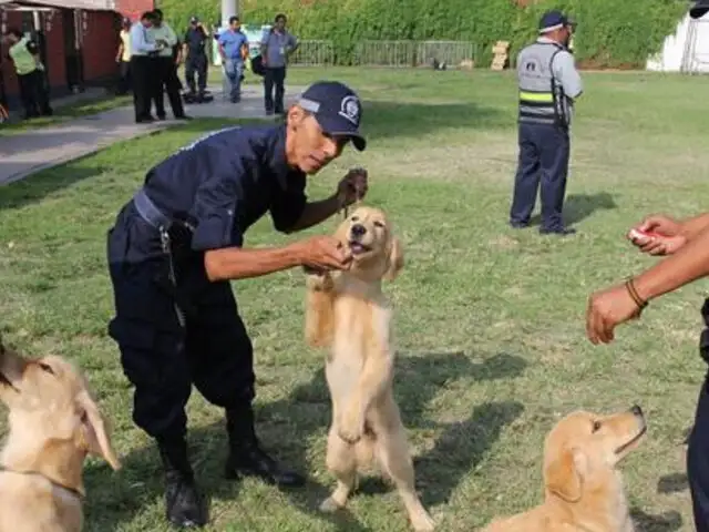 Municipalidad de Lima presentó a unidad canina expertos en rescate