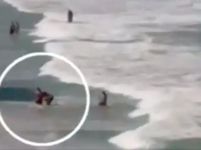 VIDEO: tiburón arranca pierna de bañista en playa de Brasil