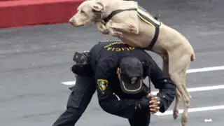 Policía en retiro se ha convertido en el  ‘Encantador de perros’ del Perú