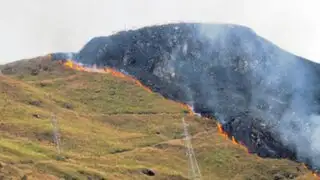 Cusco: incendio arrasa con 20 hectáreas de bosques en Machu Picchu