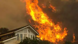 EEUU: incendio forestal arrasa más de 50 mil hectáreas en California