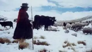 Oficializan estado de emergencia en 9 provincias de Puno por intensas nevadas