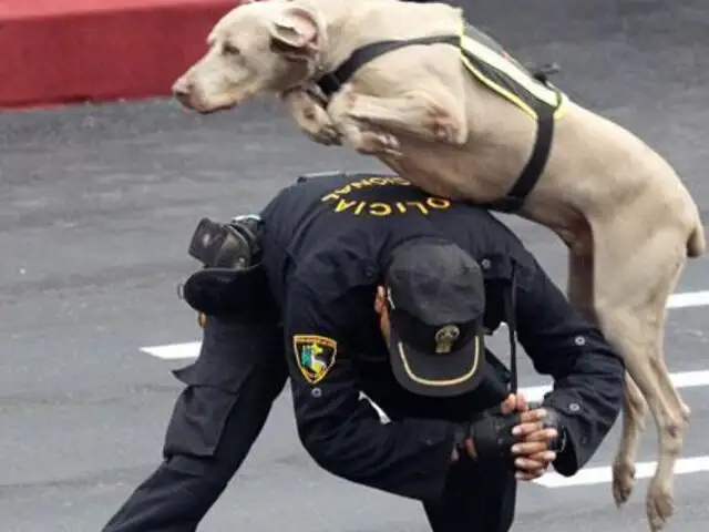 Policía en retiro se ha convertido en el  ‘Encantador de perros’ del Perú