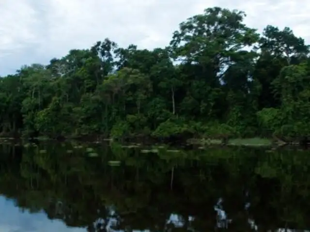 Loreto: detectan derrame de petróleo en reserva de Pacaya Samiria
