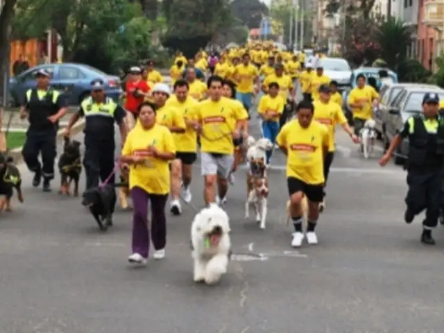 Decenas de perros se graduaron de curso de adiestramiento en Jesús María