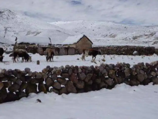 Intensas nevadas en la región Puno cobran su primera víctima mortal