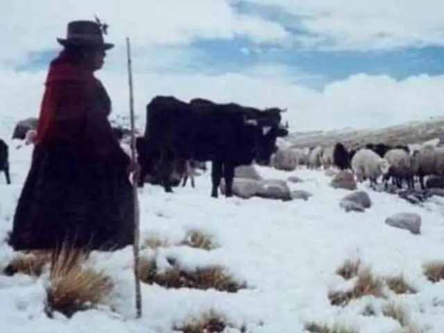 Oficializan estado de emergencia en 9 provincias de Puno por intensas nevadas