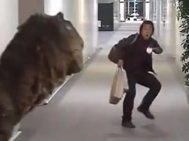 Broma de dinosaurio suelto en canal de televisión causa terror en Japón
