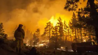 EEUU: incendio en California arrasa con más de 101 mil hectáreas en 24 días