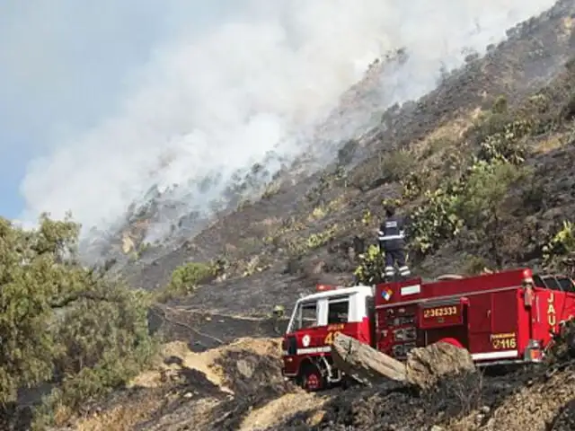 Incendio forestal arrasó 80 hectáreas de pastos en Cusco