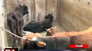 VIDEO: pobladores intentan linchar a ladrones de ganado en Huari