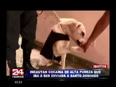 Iquitos: perro policía ayudó a incautar droga de alta pureza camuflada en maleta