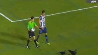 VIDEO: Patos interrumpen partido de la Copa MX al invadir cancha de fútbol