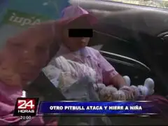 Niña de siete años es nueva víctima de ataque de pitbull en Barrios Altos