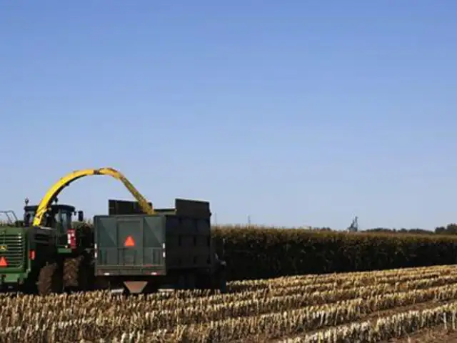 China comprará el 5% del territorio de Ucrania para agricultura y ganadería
