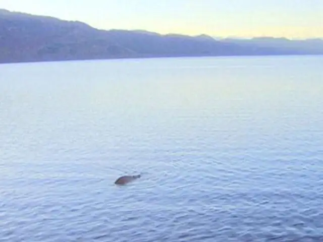 Monstruo del lago Ness: autor de “la foto más convincente” admite que es falsa