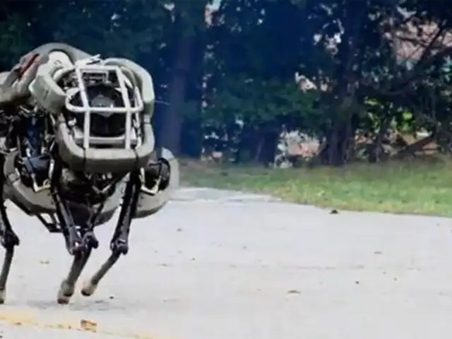 Presentan "WildCat" el robot militar más rápido que Usain Bolt