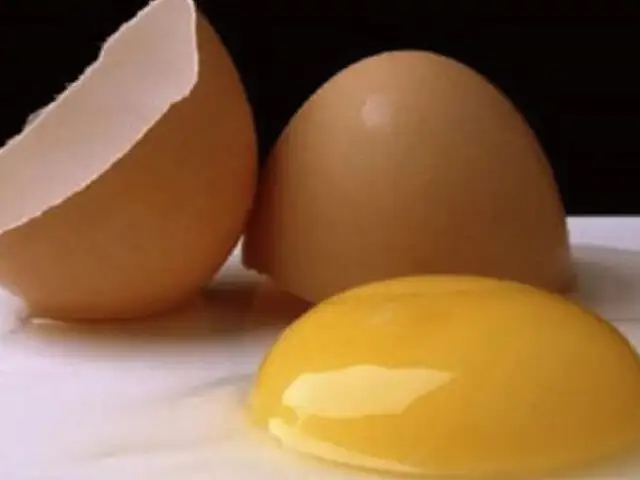 Día mundial del huevo:  El alimento con mayor contenido proteico de la naturaleza