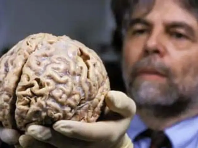 Confirmado: el cerebro disfruta al ver sufrir a enemigos