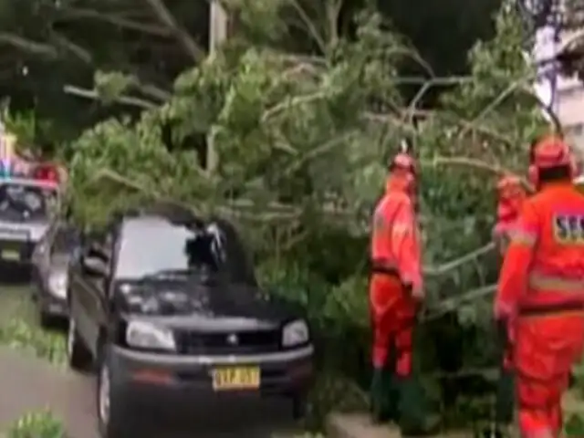 Fuerte tormenta paraliza vuelos y trenes al sur de Inglaterra y Gales