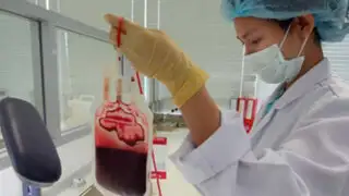 Rumania: científicos crean sangre artificial universal a base de gusanos marinos