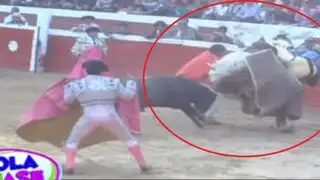 ‘Alto al Maltrato’: el caballo, una víctima más de las corridas de toros