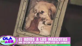 Crematorio de animales: cuando llega el momento de decirle adiós a tu mascota