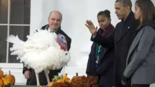 Acción de Gracias: ‘Popcorn’ fue el pavo indultado por Barack Obama
