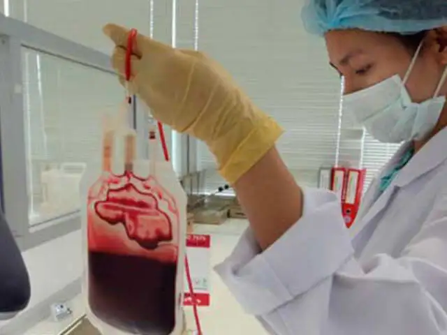 Rumania: científicos crean sangre artificial universal a base de gusanos marinos