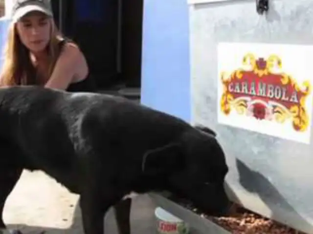 Actriz colombiana diseña  dispensador para alimentar a perros callejeros