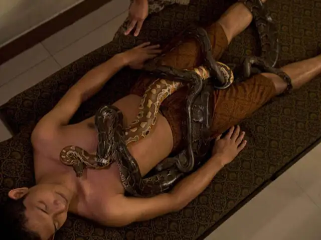 VIDEO: masaje con serpientes, lo más novedoso en métodos de relajación