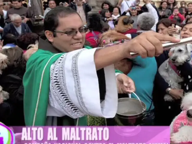 Conozca las dos paradojas de la Iglesia Católica relacionados al maltrato animal