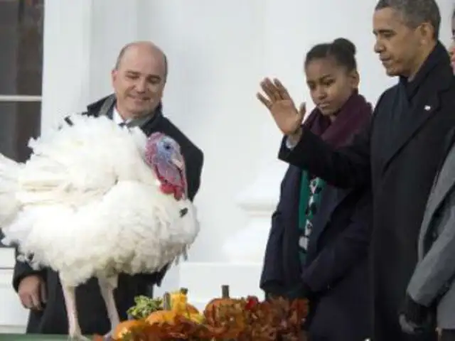 Acción de Gracias: ‘Popcorn’ fue el pavo indultado por Barack Obama