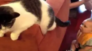 Bebé quedó hipnotizado con el solo movimiento de la cola de un gato
