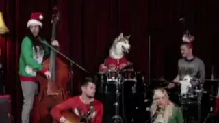 EEUU: banda interpreta un singular villancico junto a su mascota