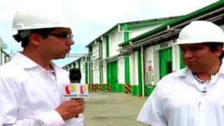 Peruanos de exportación: compatriotas cuentan su éxito en República Dominicana