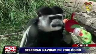 Animales de un zoológico de Chile reciben regalos de Navidad