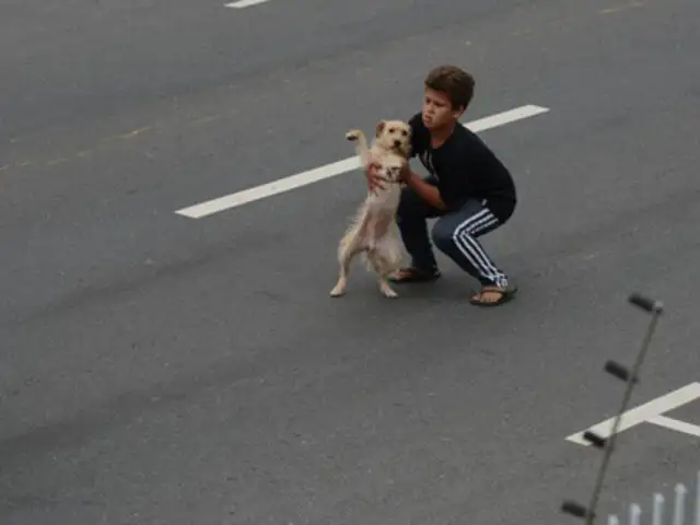 FOTOS: heroico niño arriesga su vida para salvar a un perro de ser atropellado