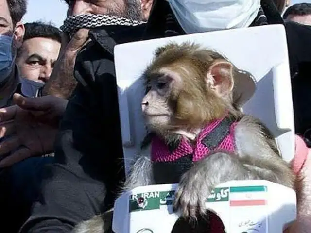 Irán envió segundo mono astronauta al espacio y regresó con vida