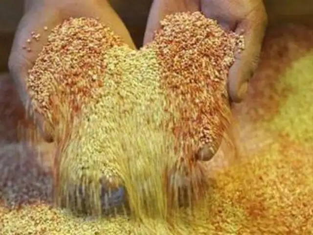 El grano de oro: Especialista explica calidad nutritiva de nuestra quinua