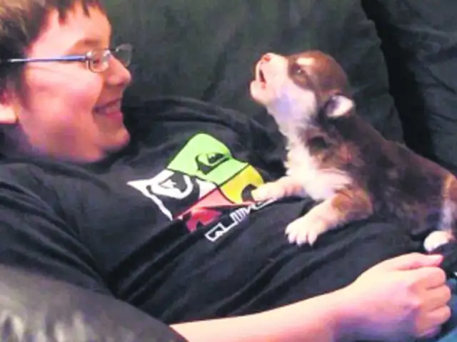 VIDEO: niño enseña aullar a su pequeña y tierna mascota como un lobo