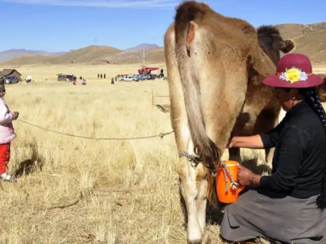 Una niña de seis años sobrevivió luego de ser impactada por rayo en Puno