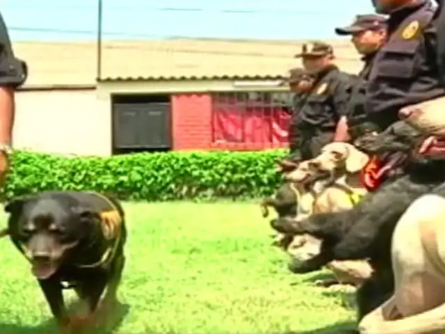 Lay Fun y sus pupilos: los sucesores del héroe canino de la Policía