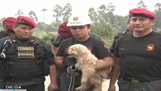 Policías arriesgaron sus vidas en el río Rímac para salvar a una mascota