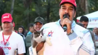 Venezuela: Nicolás Maduro instó a revisar precio de alimentos para animales
